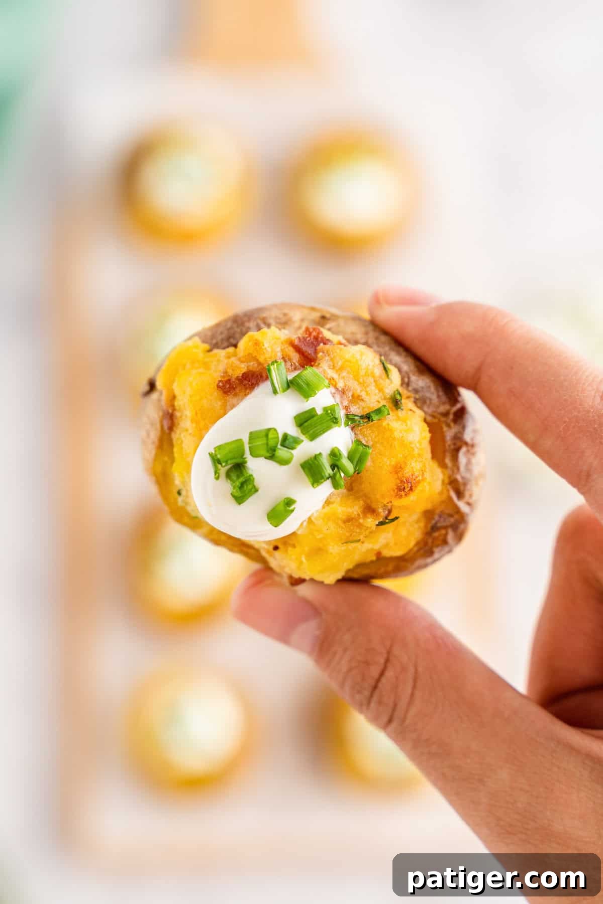 Loaded Potato Bites 3 A close-up of a hand holding a twice-baked mini potato, showcasing its creamy mashed filling, crispy bacon bits, and golden cheddar, beautifully topped with a dollop of sour cream and fresh chopped chives.