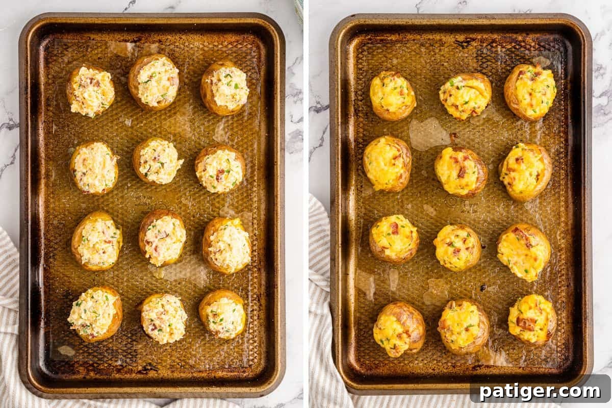 Loaded Potato Bites 8 Side-by-side images illustrating the baking process. On the left, hollowed-out mini potatoes are generously filled with a creamy bacon and cheese mixture on a baking sheet before their second bake. On the right, the same potatoes are shown after baking, beautifully golden-brown and perfectly loaded.