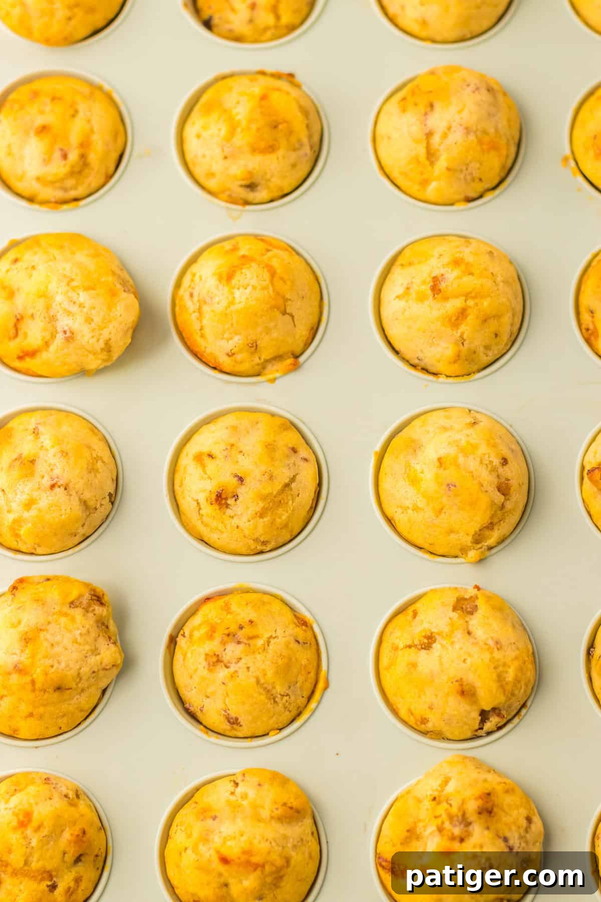 A mini muffin tin filled with freshly baked sausage pancake muffins, golden and slightly crisp on top.