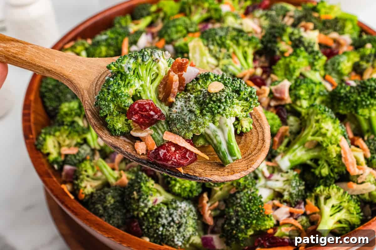 A close-up of a wooden spoon holding a perfect portion of broccoli crunch salad, highlighting the vibrant green broccoli florets, golden crispy bacon bits, deep red dried cranberries, golden sunflower seeds, bright orange shredded carrots, and a luxurious coating of creamy dressing.