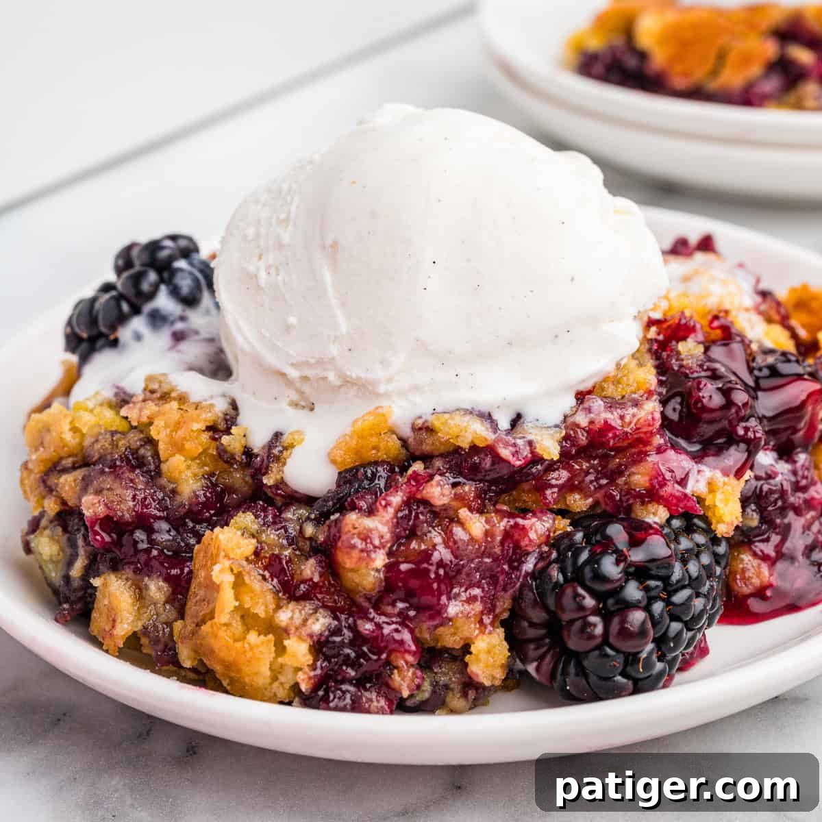 Blackberry dump cake topped with vanilla ice cream on a white plate, ready to be enjoyed.