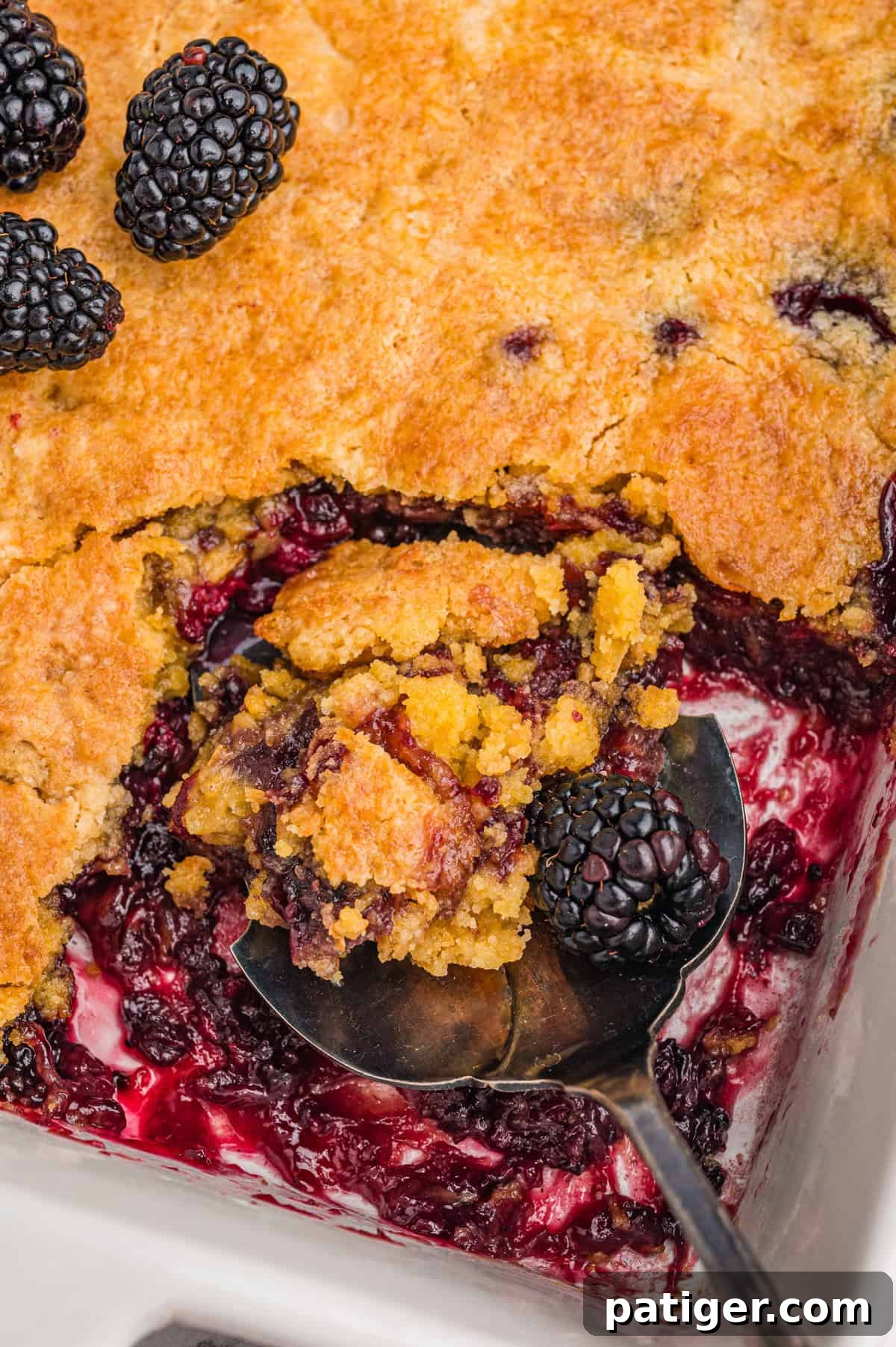 A serving spoon lifting a generous portion of warm blackberry dump cake from a baking dish, showcasing the golden-brown cake topping and vibrant, bubbly blackberry filling.