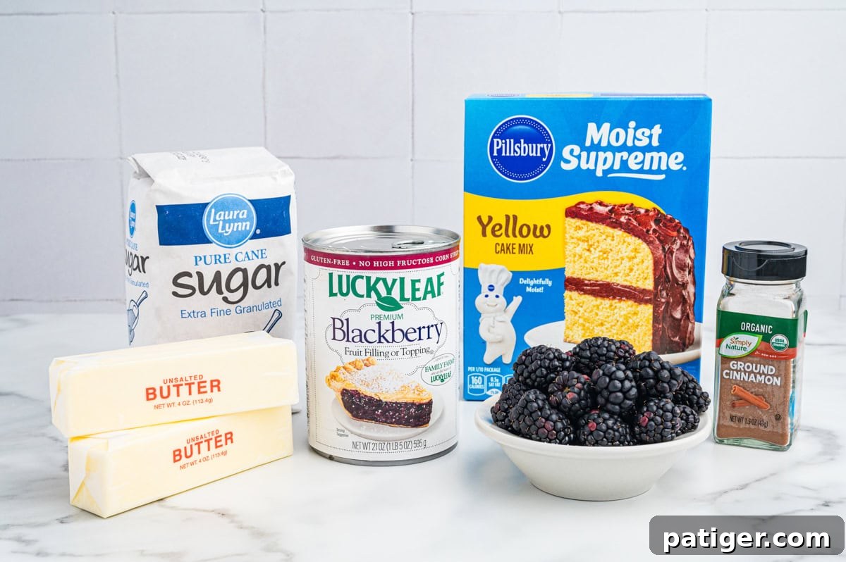 A vibrant display of blackberry dump cake ingredients: a can of blackberry pie filling, fresh blackberries, granulated sugar, ground cinnamon, a box of yellow cake mix, and two sticks of cold unsalted butter.