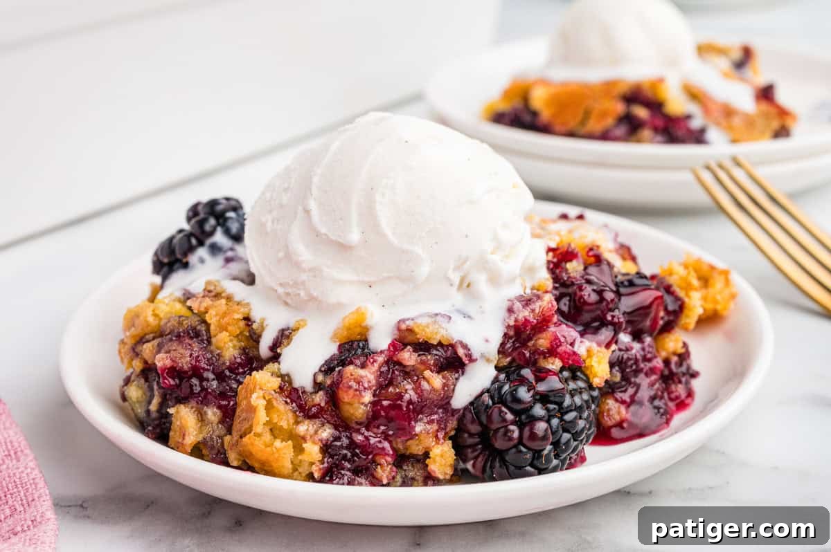A beautiful serving of blackberry dump cake with a golden, crumbly cake topping and a luscious, juicy blackberry filling, artfully topped with a melting scoop of vanilla ice cream, on a white plate.