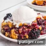 A plate with a serving of blackberry dump cake, topped with a scoop of vanilla ice cream, showing its delicious texture.