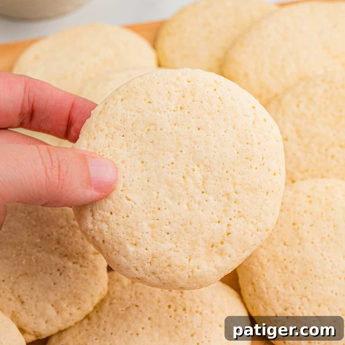 Hand holding a plain, round tea cake cookie.