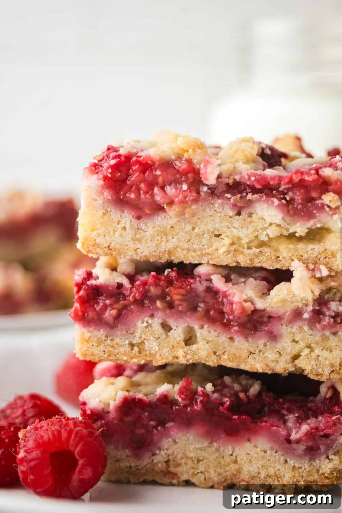 Berry Burst Crumb Bars 7 Close-up of two raspberry crumble bars stacked on a white plate. The focus highlights the texture of the golden crust, juicy raspberry filling, and buttery crumb topping. Fresh raspberries are seen at the base.