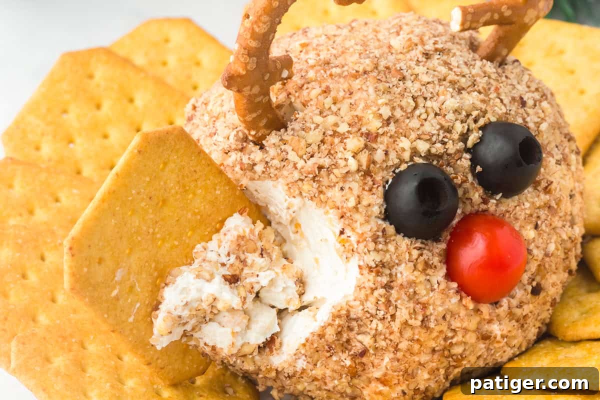 Close-up of a reindeer-shaped cheese ball coated in chopped nuts with a red cherry tomato for a nose, black olives for eyes, and pretzel antlers. A cracker is scooping into the side, revealing the creamy cheese inside.