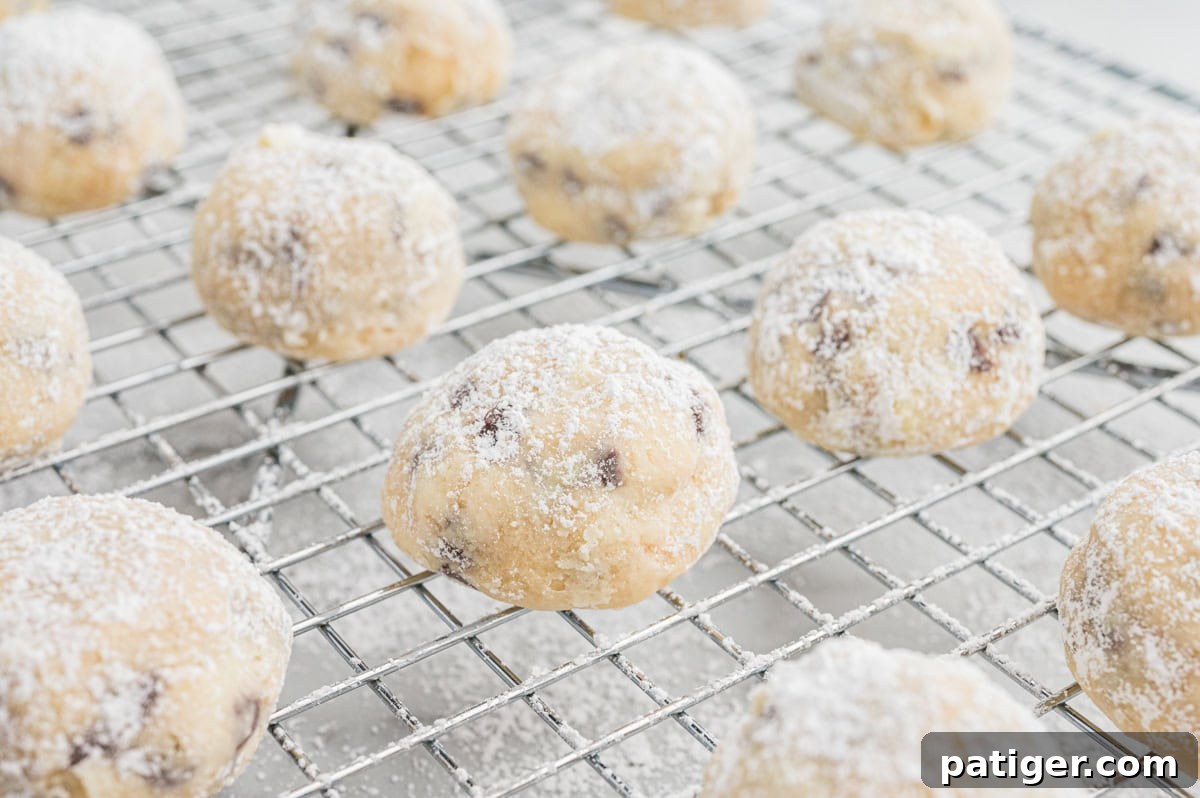 Decadent Chocolate Chip Snowball Bites 8 Several chocolate chip snowball cookies dusted with powdered sugar are arranged on a metal cooling rack. The cookies are round with a light golden color and specks of chocolate chips visible through the sugar coating.