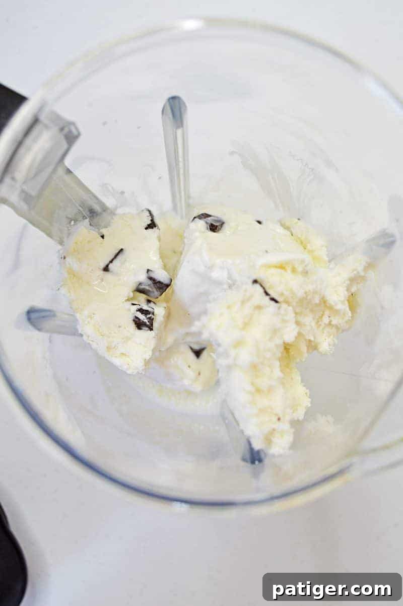 Several scoops of mint chocolate chip ice cream already placed inside a blender jar, ready for the next ingredients to be added for a Shamrock Shake.