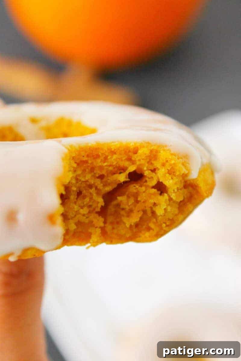 Baked pumpkin doughnuts served warm and smothered with glaze are the perfect Fall recipe for breakfast and dessert alike.