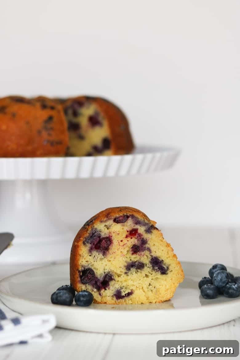 Blueberry Lemon Pound Cake Recipe with Healthier Swaps