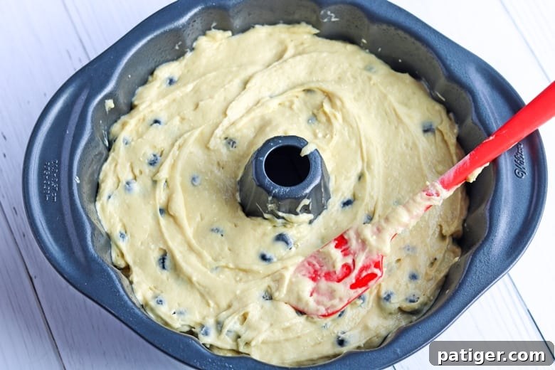 Blueberry Cake Batter in a Bundt Pan
