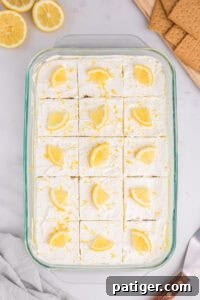 Lemon dessert topped with cool whip and lemon zest sliced in to 15 square pieces. Each slice is topped with a piece of lemon.