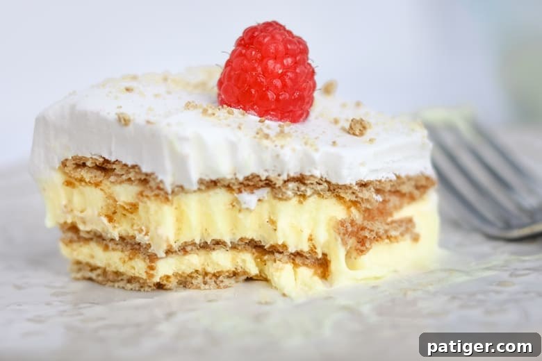 A stunning lemon pudding cake with beautifully defined layers of graham crackers, creamy lemon pudding, and fluffy Cool Whip, elegantly topped with a single fresh raspberry for a pop of color.