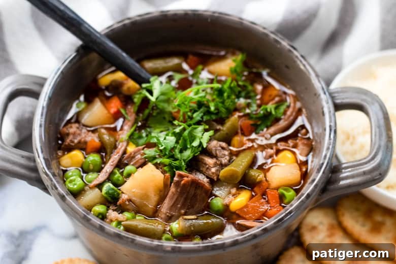 Instant Pot Vegetable Beef Soup close-up
