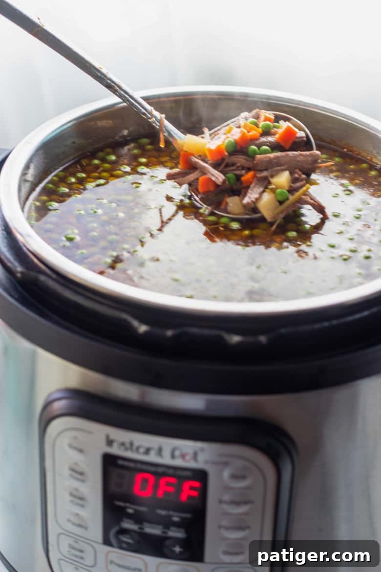 Vegetable Beef Soup In the Instant Pot