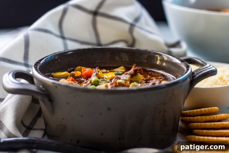 Veggie Beef Soup Recipe