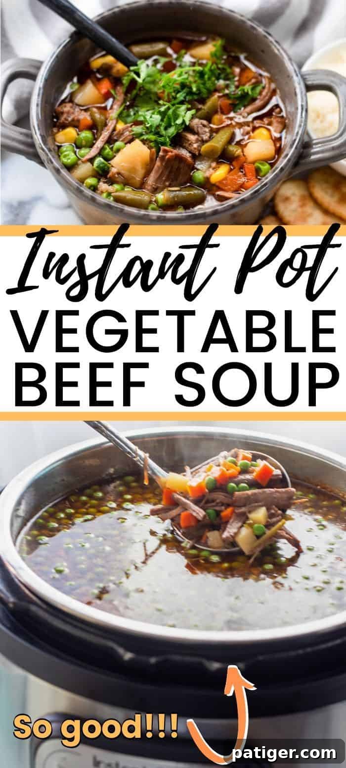 Instant Pot Vegetable Beef Soup