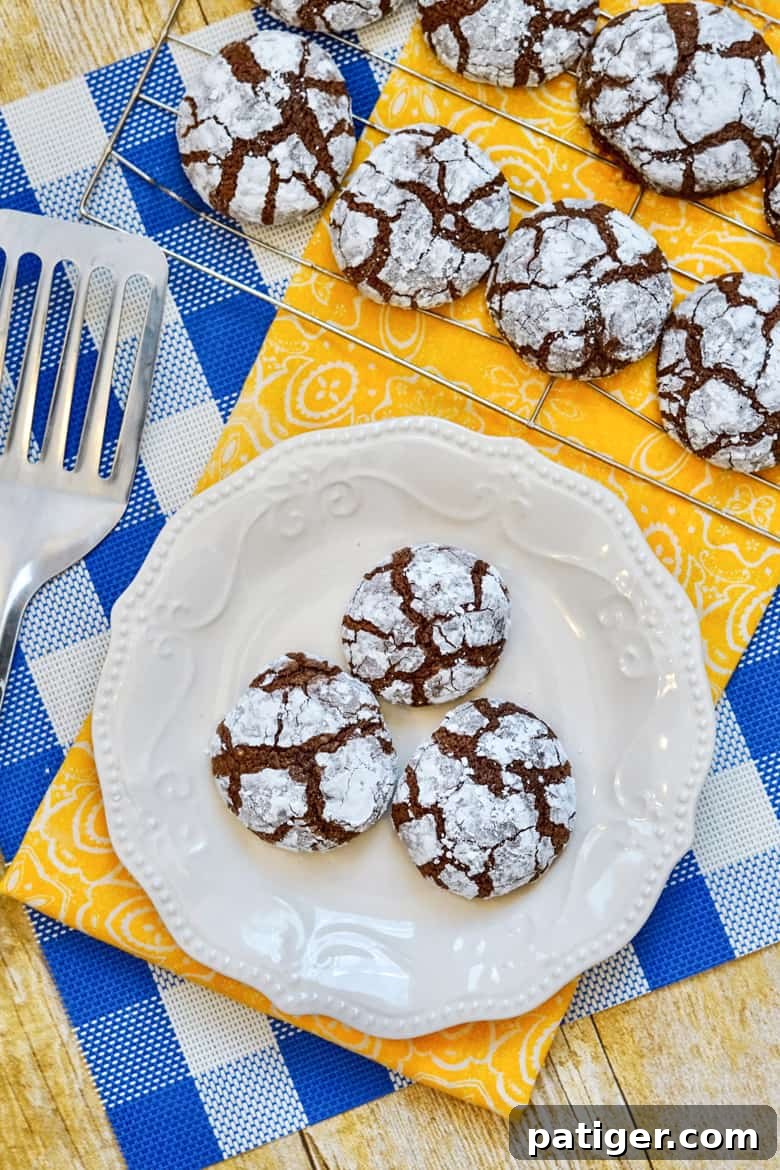 Delicious Brownie Mix Crinkle Cookies dusted with powdered sugar, ready to be enjoyed.