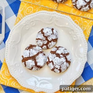 Fudgy Brownie Mix Crinkle Cookies, a simple and quick dessert.