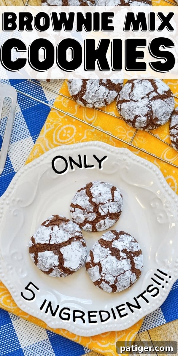 Brownie Mix Cookies: Only 5 Ingredients! A perfect pin image for an easy crinkle cookie recipe.