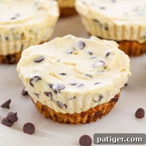 Mini Chocolate Chip Cookie Dough Cheesecakes with cookie crust and creamy chocolate chip cheesecake filling