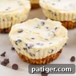 Mini Chocolate Chip Cookie Dough Cheesecakes with cookie crust and creamy chocolate chip cheesecake filling