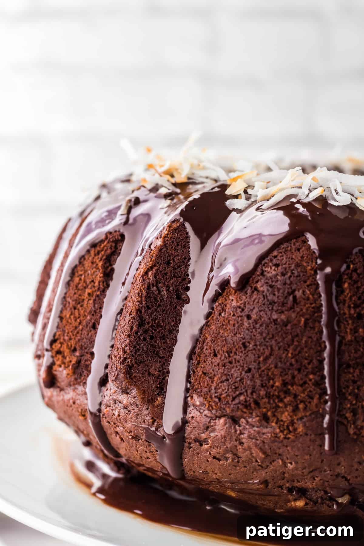Side profile of chocolate coconut bundt cake with chocolate ganache dripping down the side and shredded coconut sprinkled over the top.