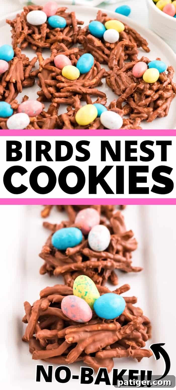 Birds Nest Cookies pinterest collage image.