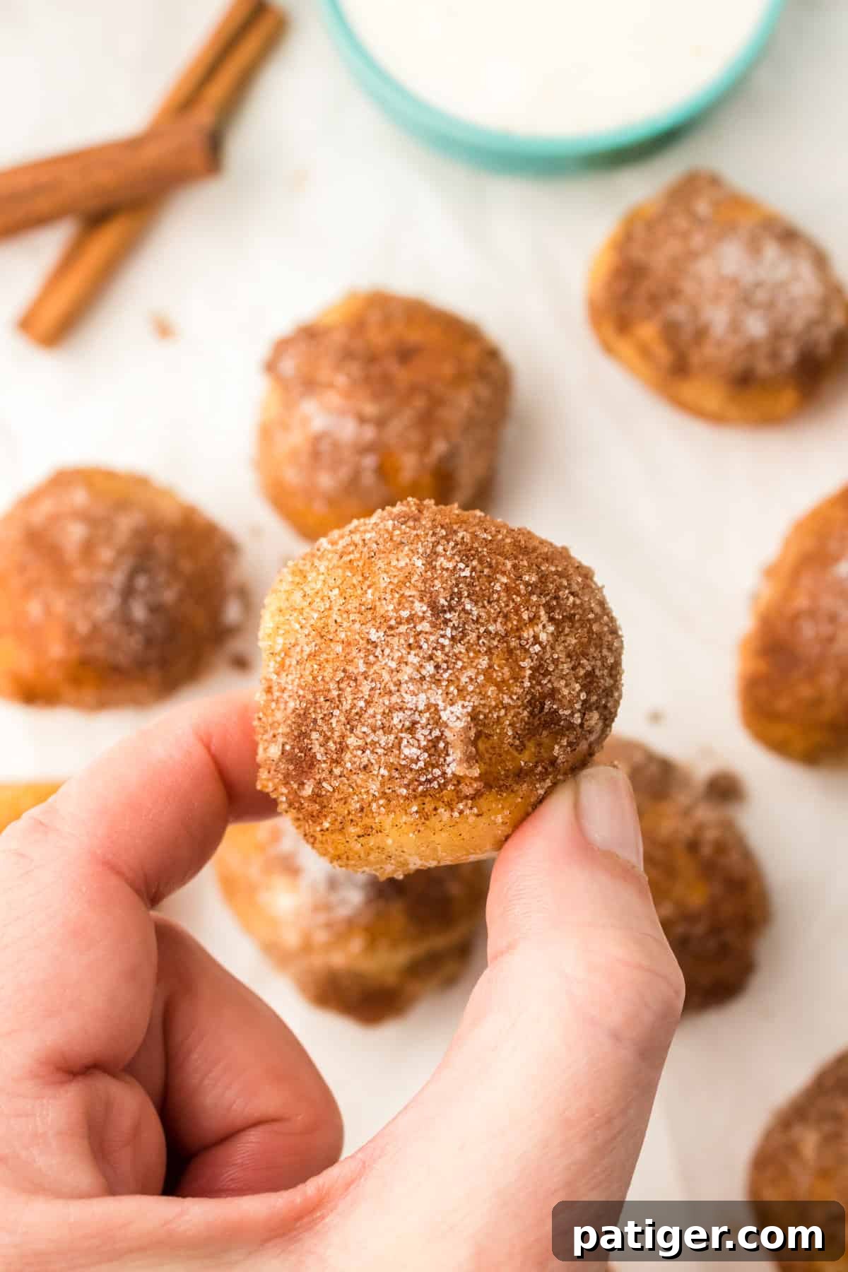 Close-up of a hand holding a single, warm cinnamon sugar pretzel bite.