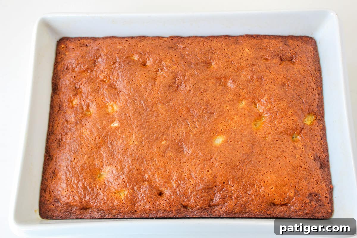 Fruit cocktail cake in baking pan with golden brown top.