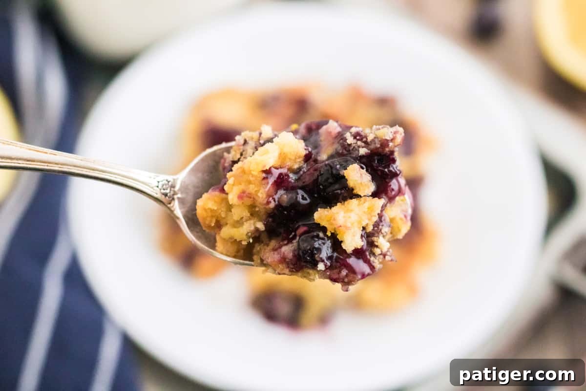 A spoonful of vibrant blueberry pie filling mixed with crumbly pieces of golden lemon cake, highlighting the delicious texture contrast.
