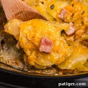 A spoonful of scalloped potatoes and ham being scooped from the slow cooker.