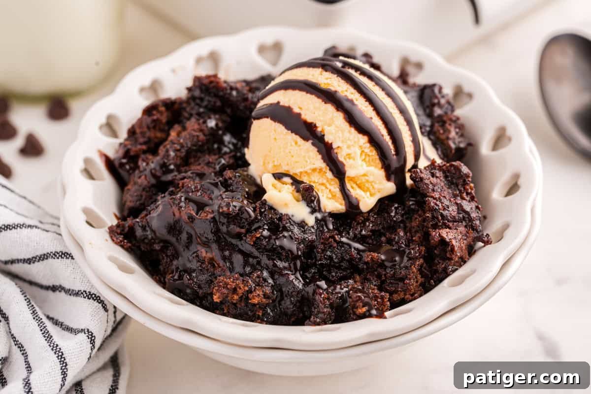 A beautifully presented bowl of chocolate pudding cake, generously topped with a scoop of creamy vanilla ice cream and a delicate drizzle of chocolate sauce. The distinct chocolate cake and rich pudding layers are clearly visible, promising a delightful dessert experience.
