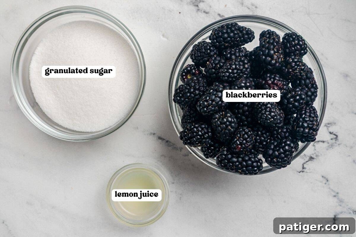 Ingredients for blackberry jam labeled on a marble counter: granulated sugar, fresh blackberries, and lemon juice.