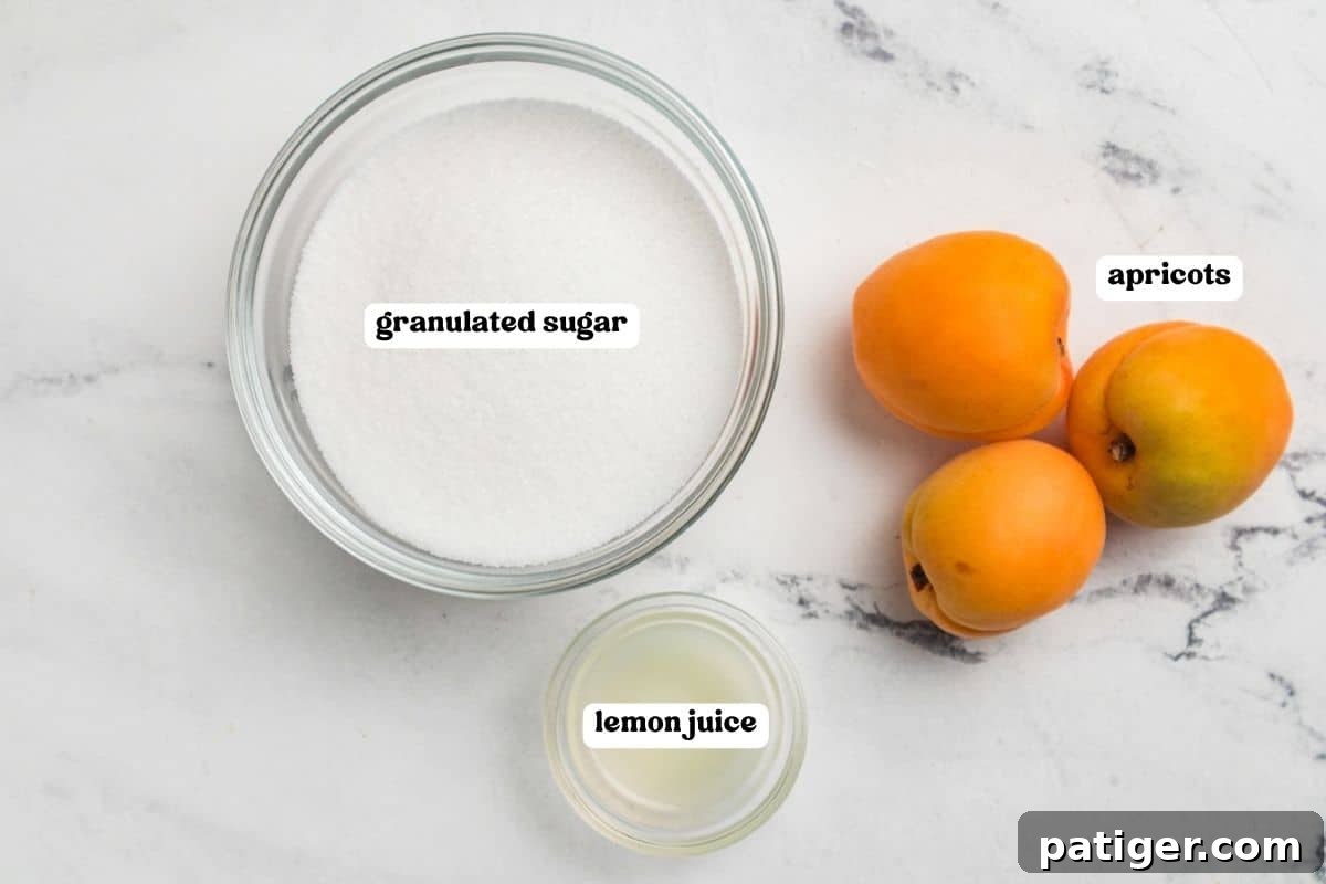 Apricot Jam Without Pectin: Simple Homemade Recipe 4 Ingredients for apricot jam labeled on a marble counter: granulated sugar, fresh apricots, and lemon juice.