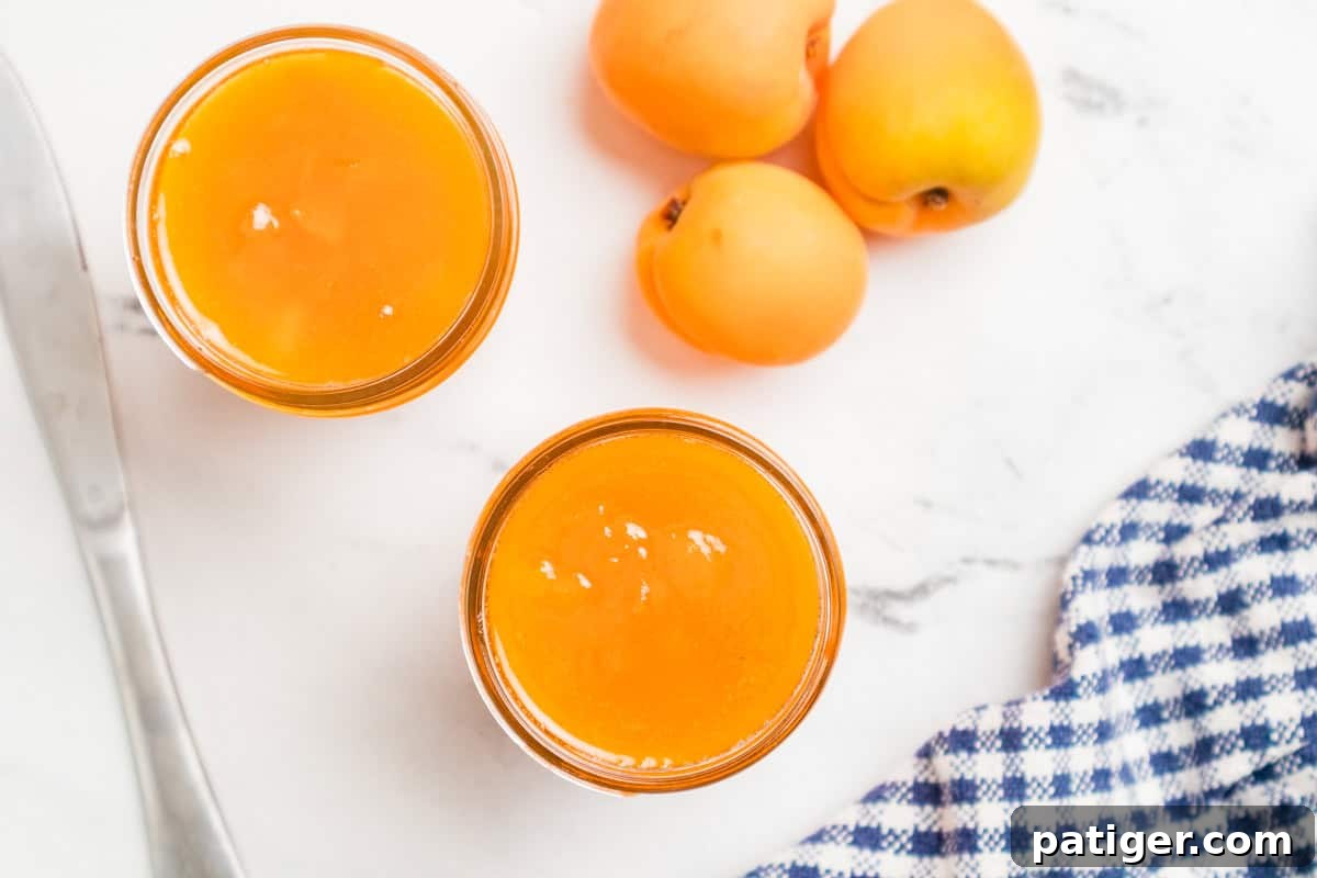 Apricot Jam Without Pectin: Simple Homemade Recipe 8 Two open jars of homemade apricot jam shot from above with fresh apricots, a knife, and a blue checked towel.