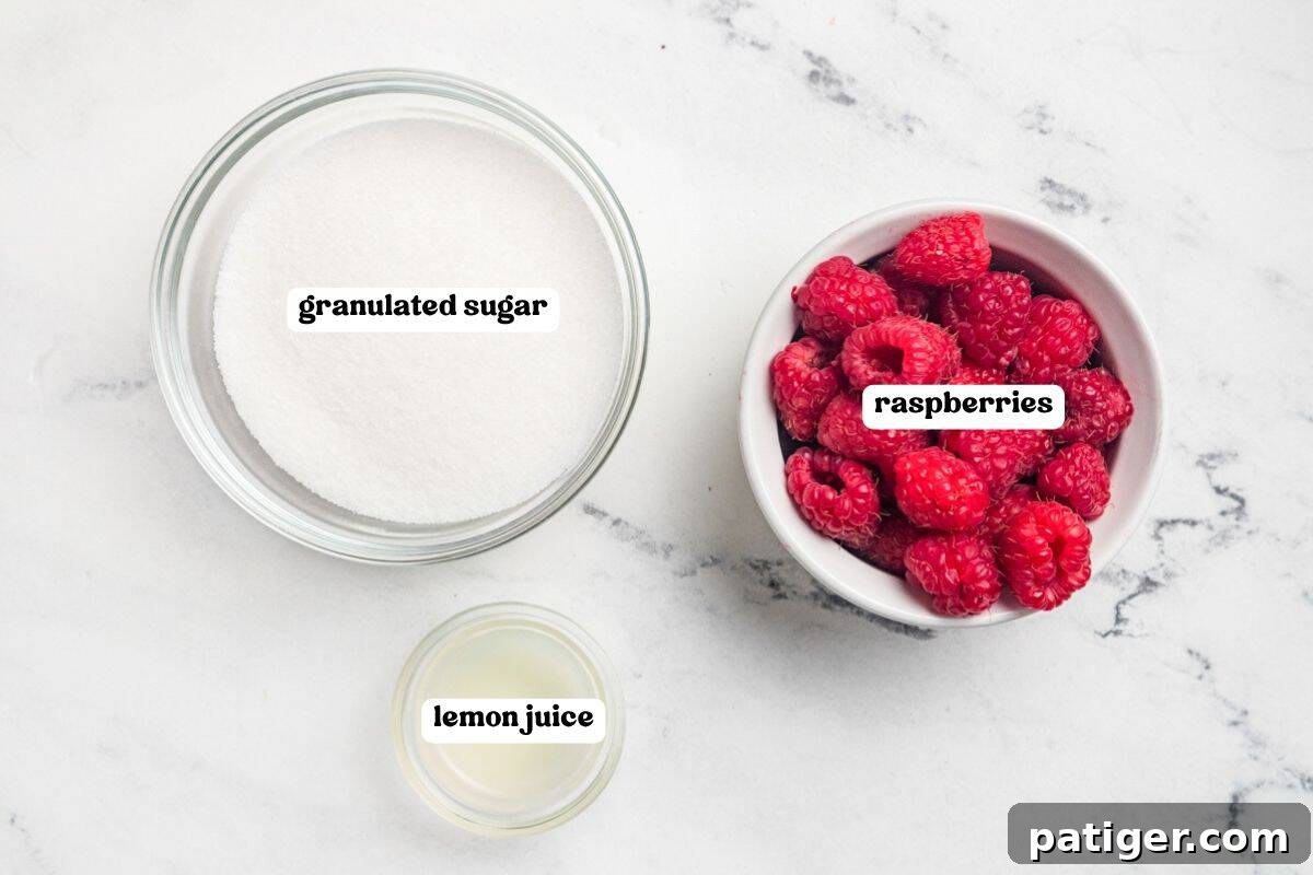 Homemade Raspberry Jam Without Pectin — Simple Stove-Top Recipe 3 Ingredients for raspberry jam labeled on a marble counter: granulated sugar, fresh raspberries, and lemon juice.