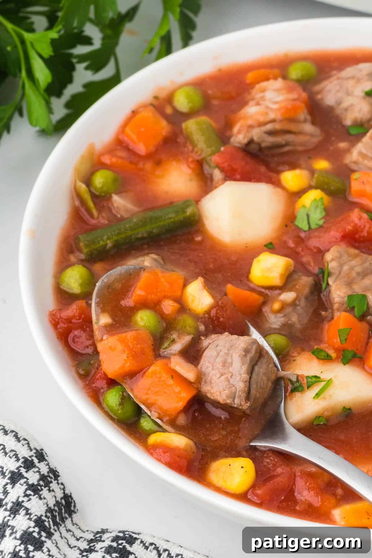 A bowl of vegetable beef soup with a spoon resting in it.