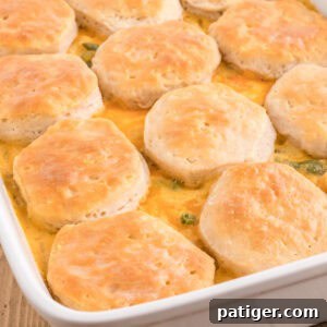 Easy chicken pot pie casserole with biscuits and cheese.