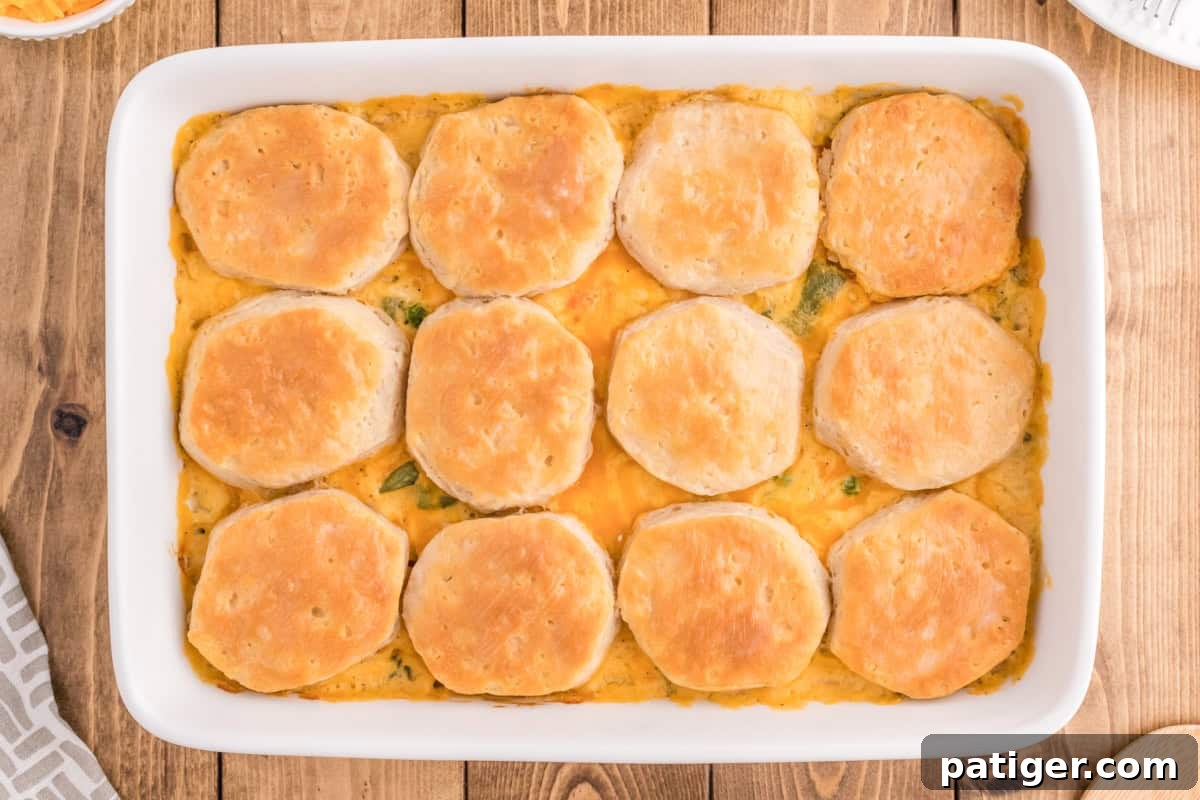 One-Pan Chicken Pot Pie Casserole with Biscuits 10 Golden biscuits over creamy chicken casserole with biscuits in a 9 x 13 baking dish.