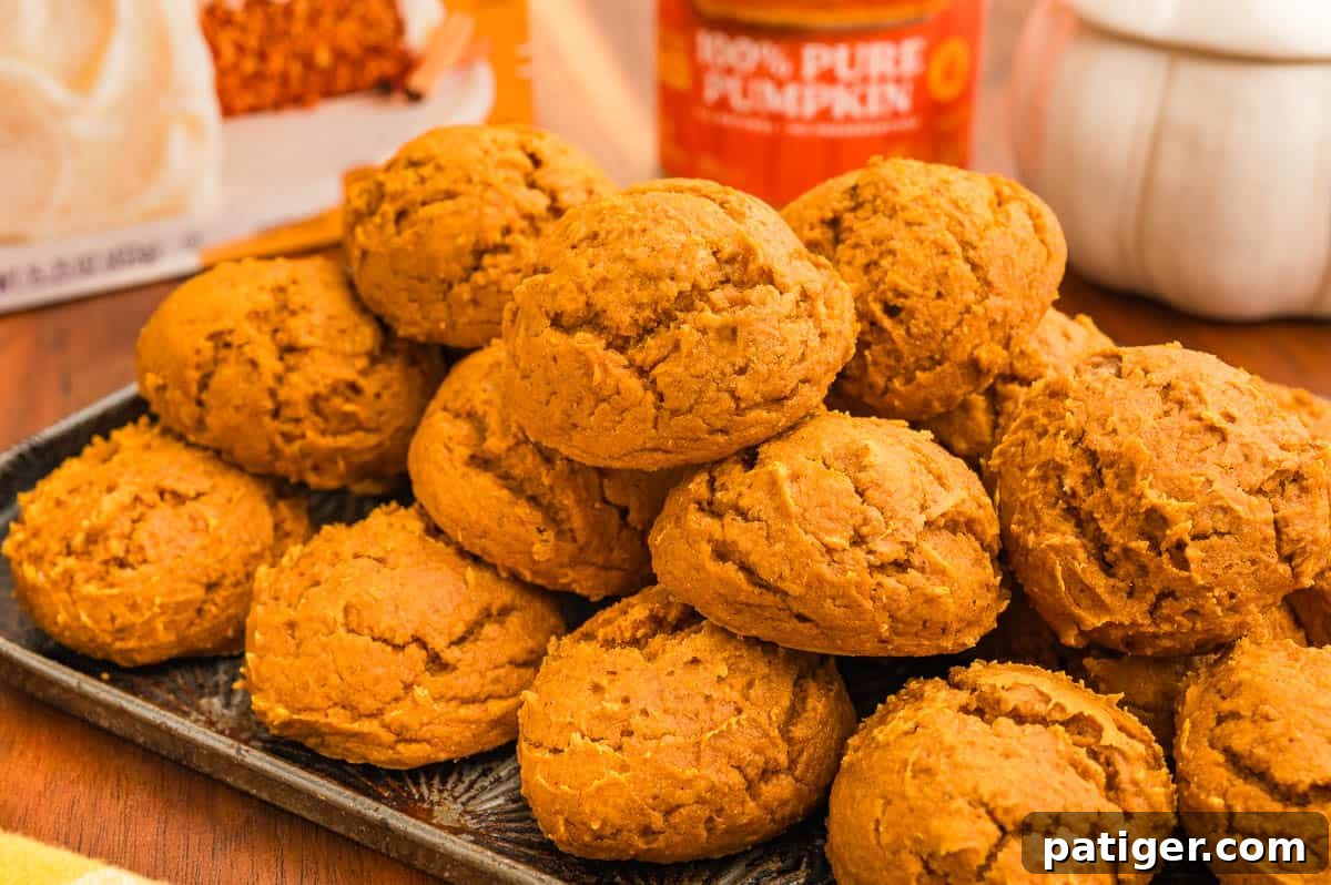 Cake Mix Pumpkin Cookies: Soft Spiced Fall Treats 2 Pumpkin cookies with cake mix stacked on a dark tray with a spice cake box and a can of pure pumpkin behind.