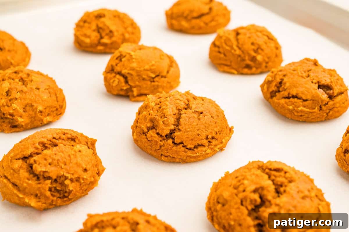Cake Mix Pumpkin Cookies: Soft Spiced Fall Treats 7 Baked pumpkin cookies spaced out on a parchment lined baking sheet, puffed and rounded.