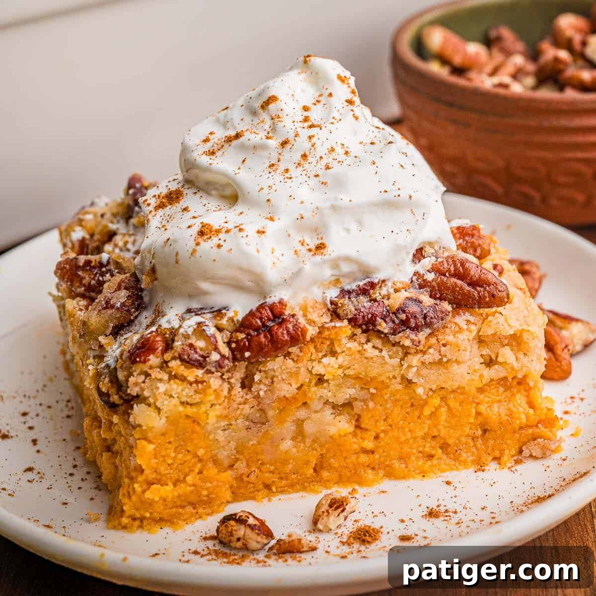 Pumpkin dump cake square on a white plate with whipped cream, cinnamon, and pecans scattered around it.